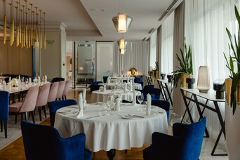 Monty by Andre Tokev