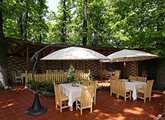 restaurant-image