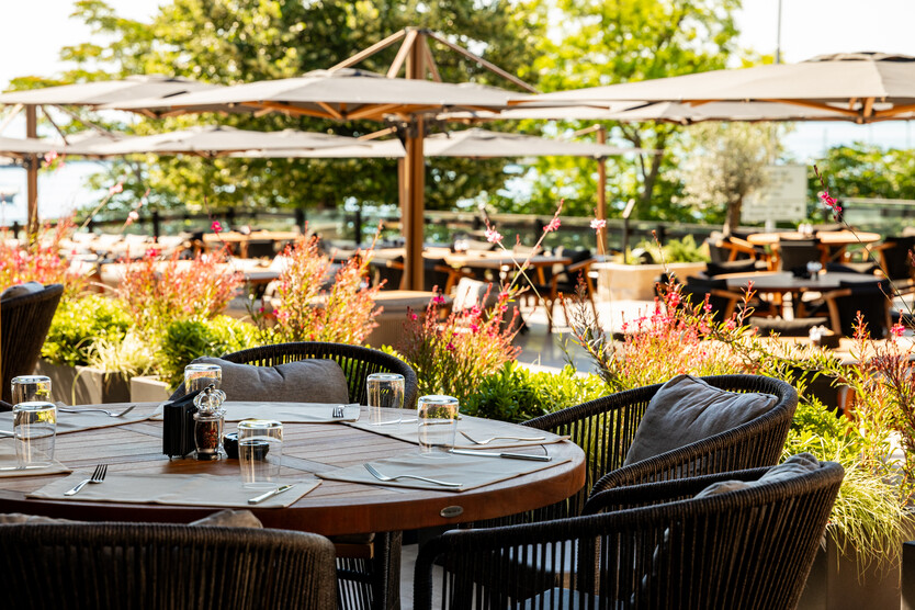 Снимка #1