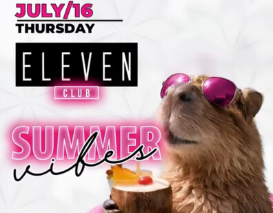 Summer vibes party